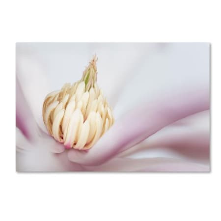 Pierre Leclerc 'Soft Magnolia' Canvas Art,16x24